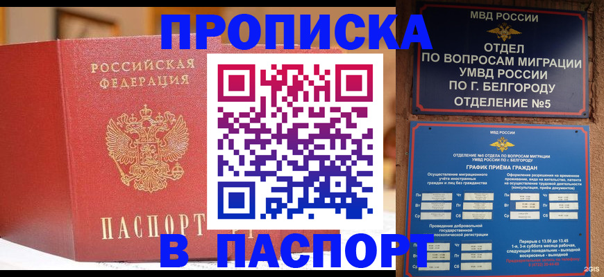 временная регистрация в квартире в Приморско-Ахтарске
